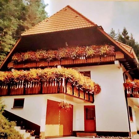 Ferienwohungen Im Kuchersbach Hornberg Dış mekan fotoğraf