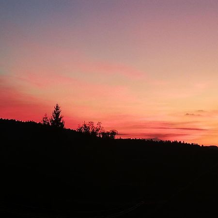 Ferienwohungen Im Kuchersbach Hornberg Dış mekan fotoğraf