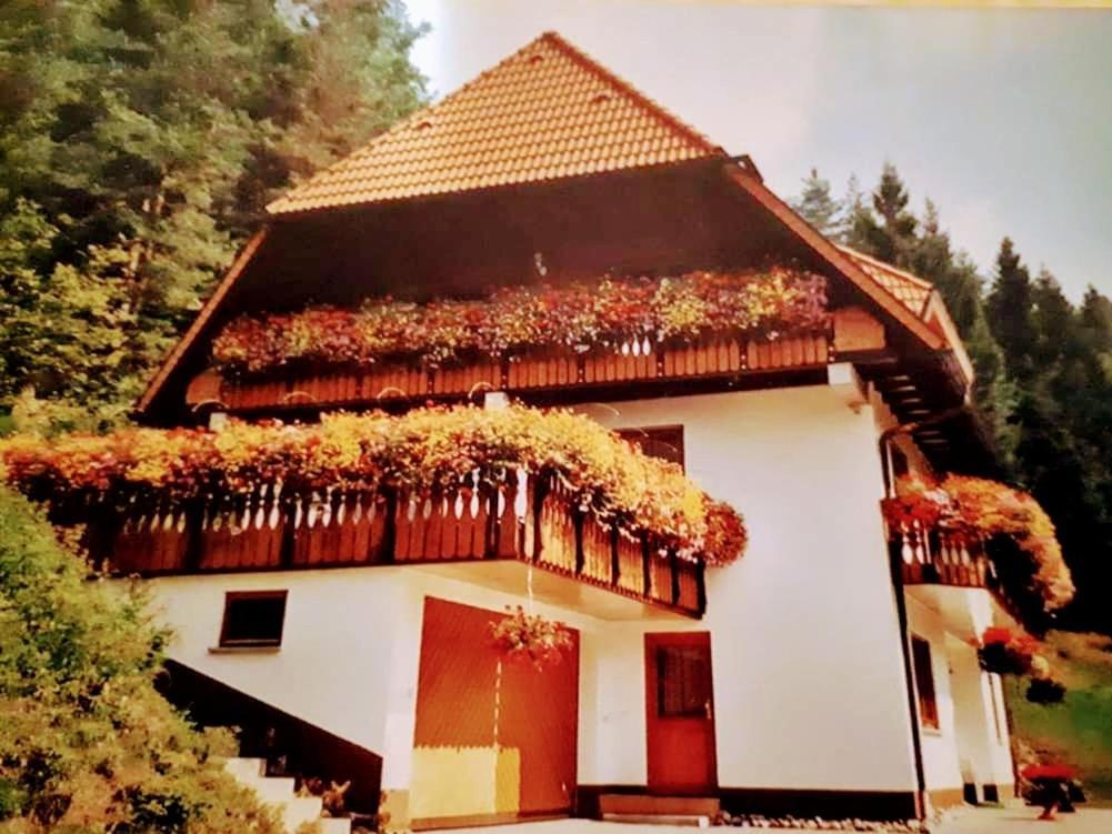 Ferienwohungen Im Kuchersbach Hornberg Dış mekan fotoğraf