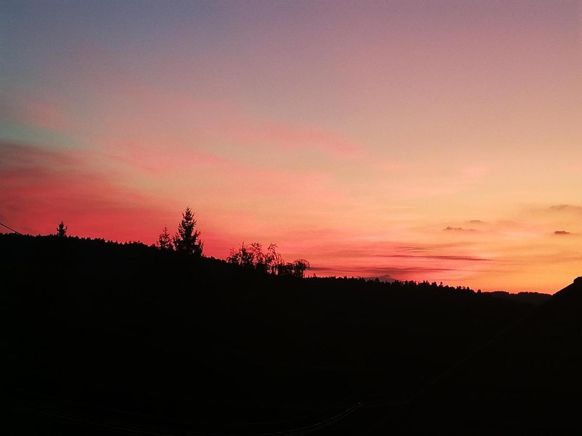 Ferienwohungen Im Kuchersbach Hornberg Dış mekan fotoğraf