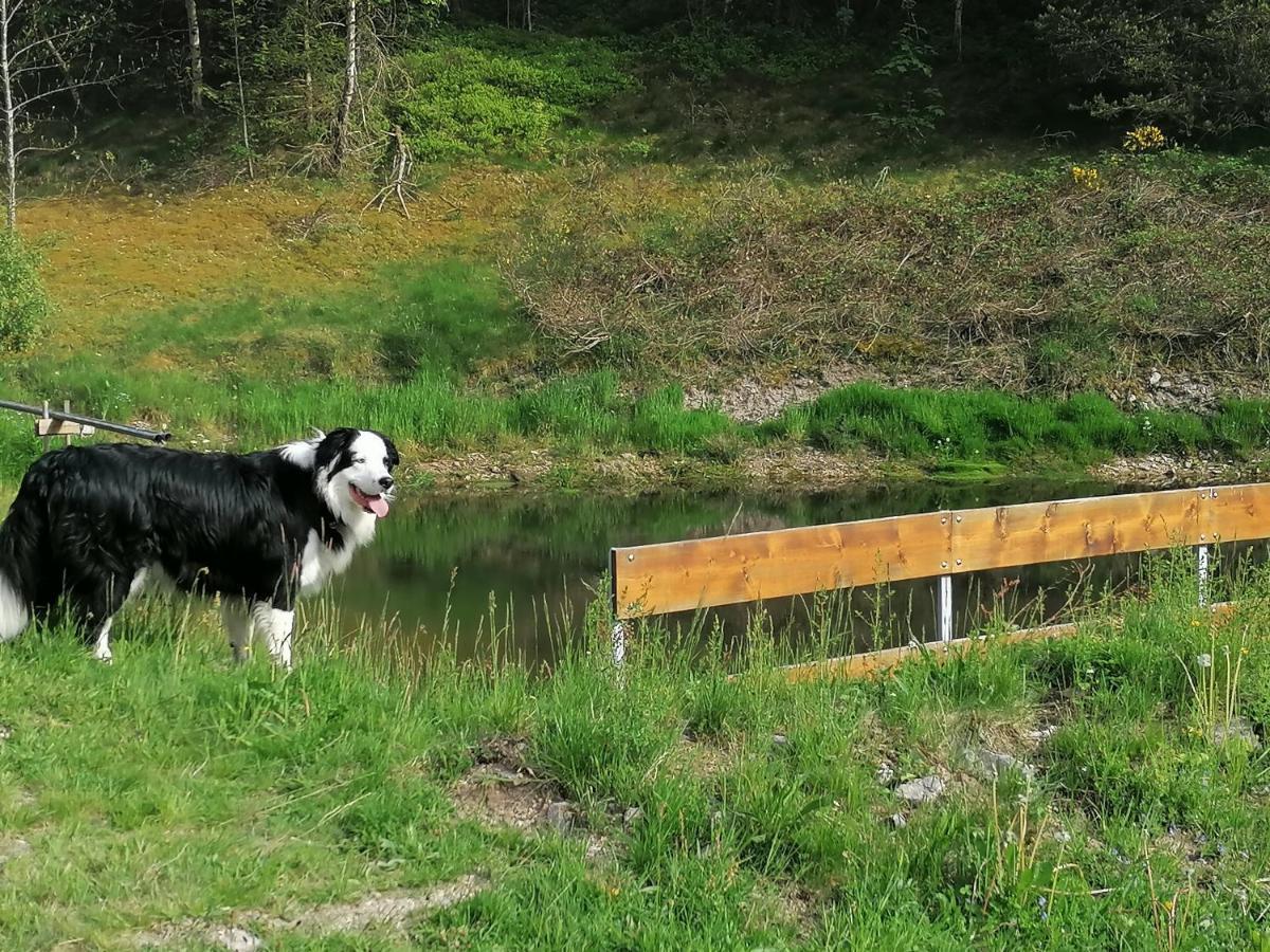 Ferienwohungen Im Kuchersbach Hornberg Dış mekan fotoğraf