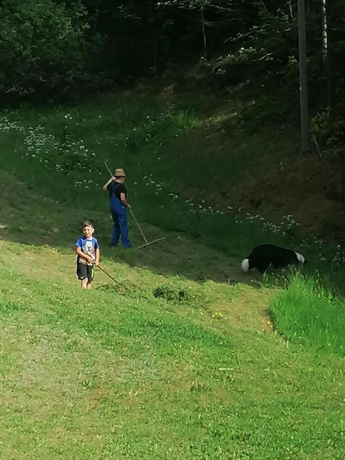 Ferienwohungen Im Kuchersbach Hornberg Dış mekan fotoğraf