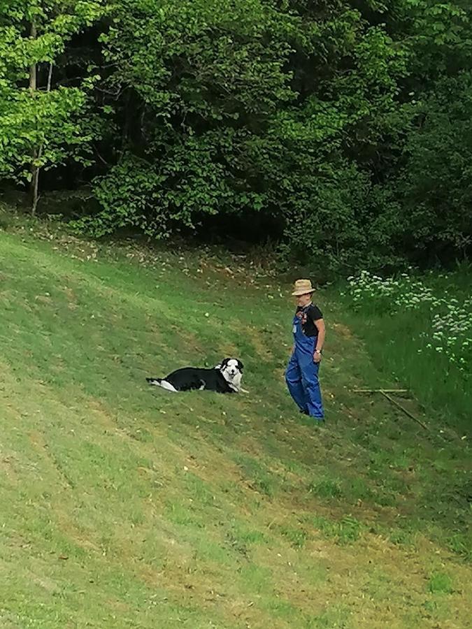 Ferienwohungen Im Kuchersbach Hornberg Dış mekan fotoğraf