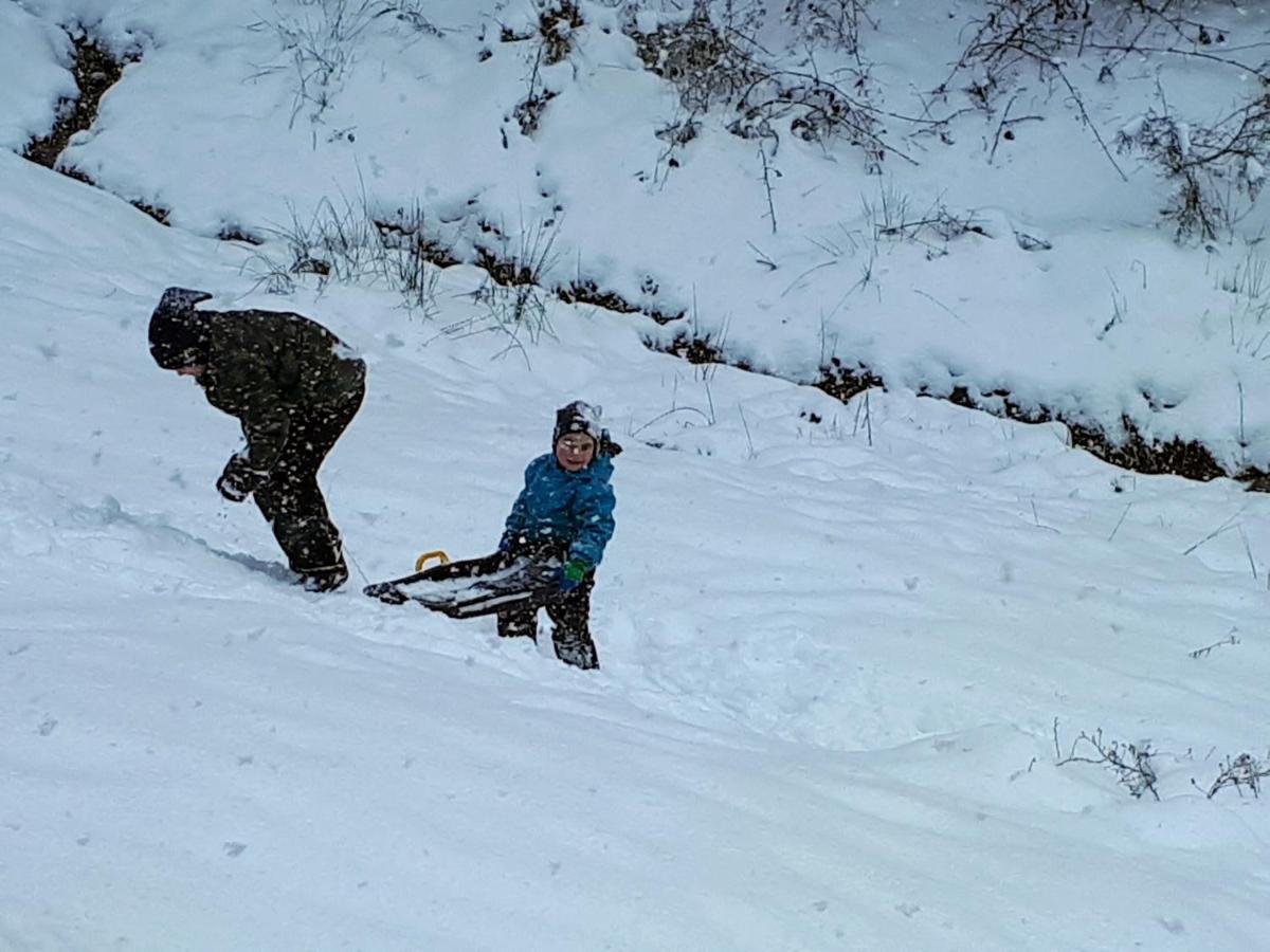 Ferienwohungen Im Kuchersbach Hornberg Dış mekan fotoğraf