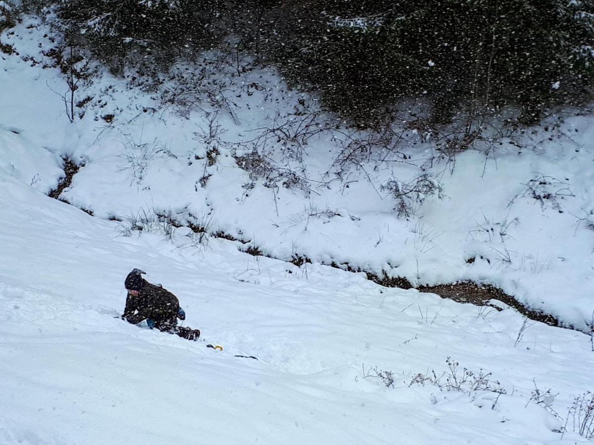 Ferienwohungen Im Kuchersbach Hornberg Dış mekan fotoğraf