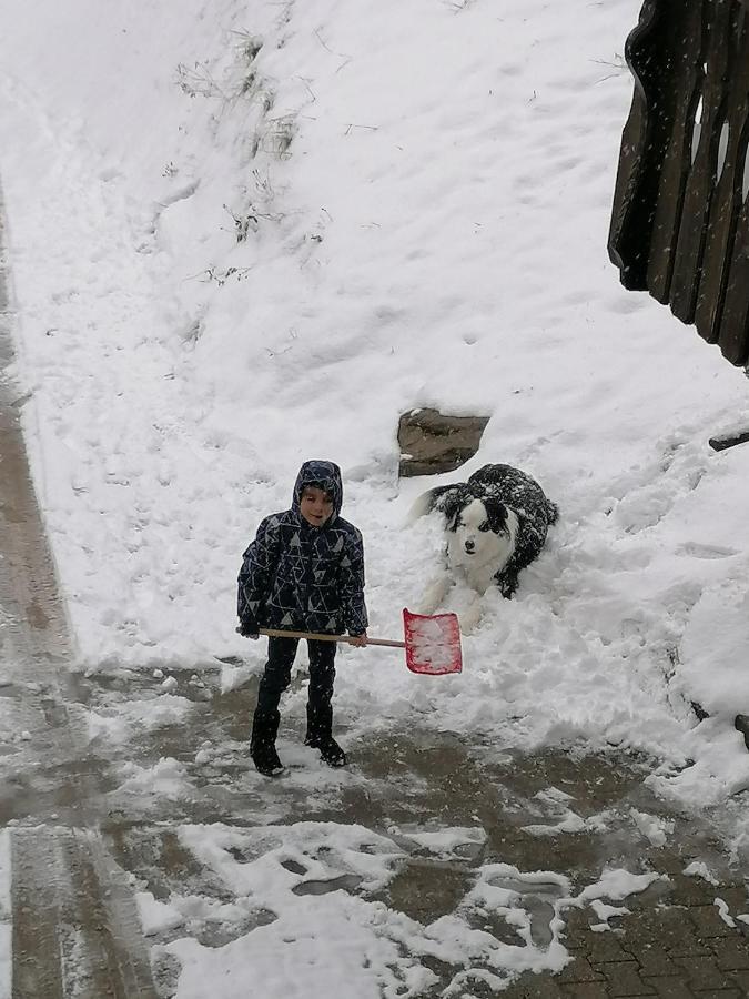 Ferienwohungen Im Kuchersbach Hornberg Dış mekan fotoğraf