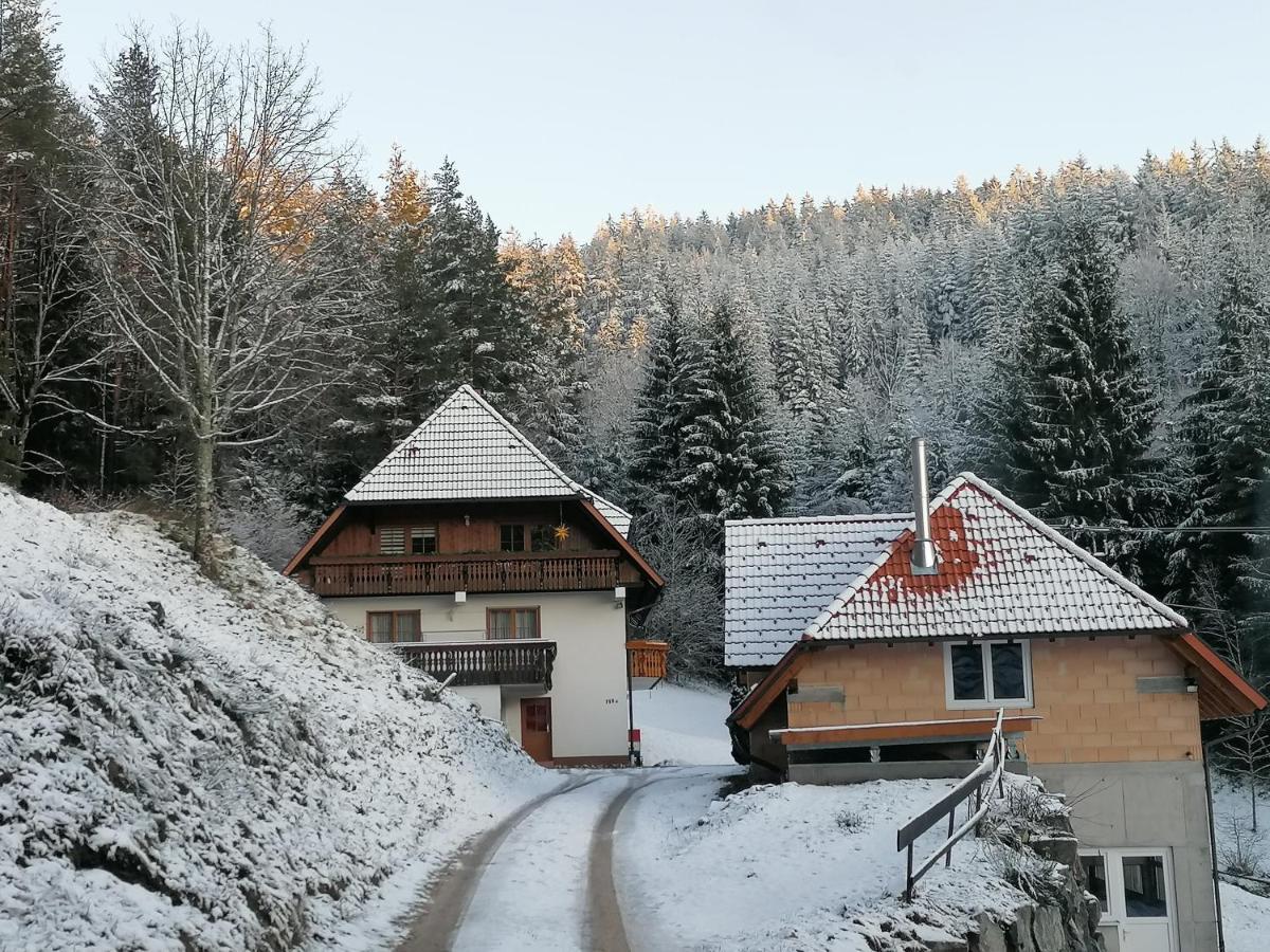 Ferienwohungen Im Kuchersbach Hornberg Dış mekan fotoğraf