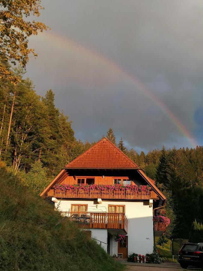Ferienwohungen Im Kuchersbach Hornberg Dış mekan fotoğraf